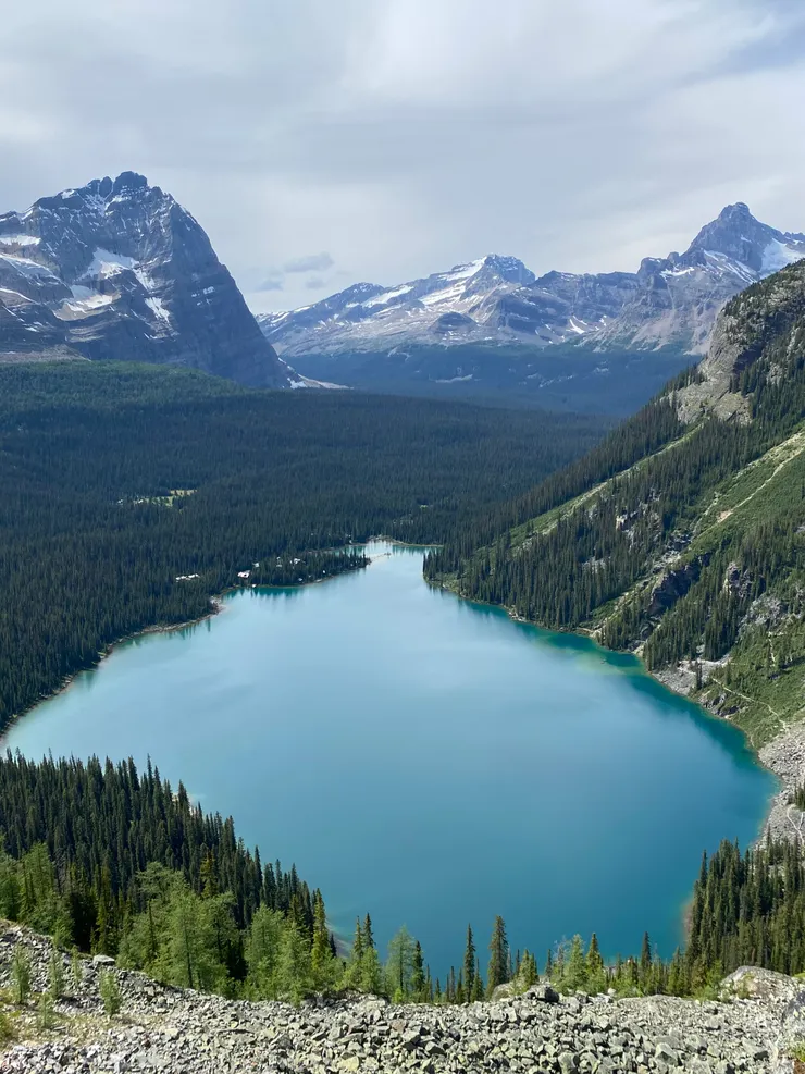 從 Alpine Circuit 回望Lake O'hara