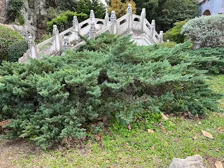 要思考的點是,願不願意在投資標的還在相對低點時,就冒著風險買入呢?不能保證何時會上漲,甚至可能是一兩年之後,但總會是來得及慢慢佈局的。換言之,就是要在落後的個股中挑選黃金然後持有。