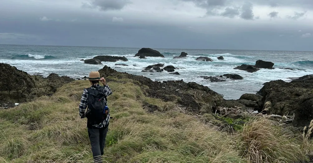 海的女兒的沙龍