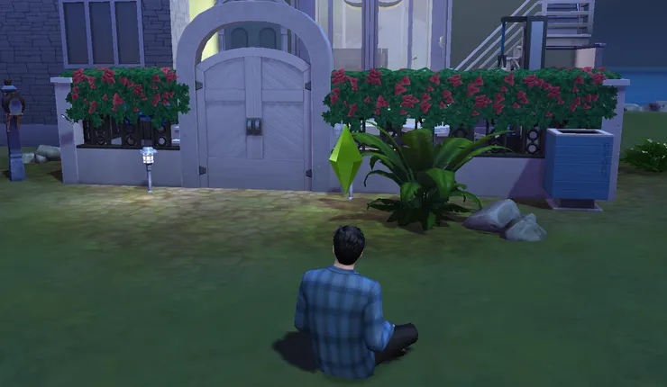 晚上~ 棣棣回家了...