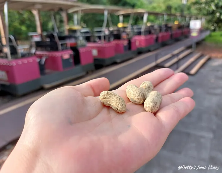 ▲苗栗三義-舊山線鐵道自行車C路線,龍騰站/圖片來源:Betty's Jump Diary