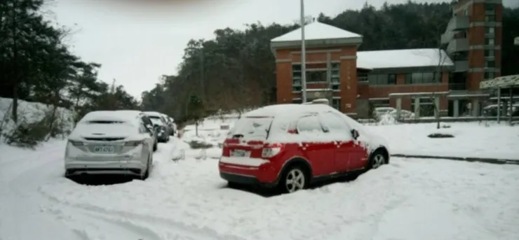 新竹觀霧下雪