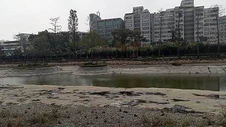[新北旅遊]裕隆城認養綠湖公園，唯美、生態 、綠意、曬小孩的