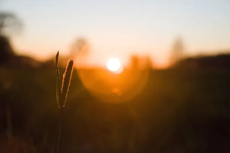 Photo by Aaron Burden on Unsplash