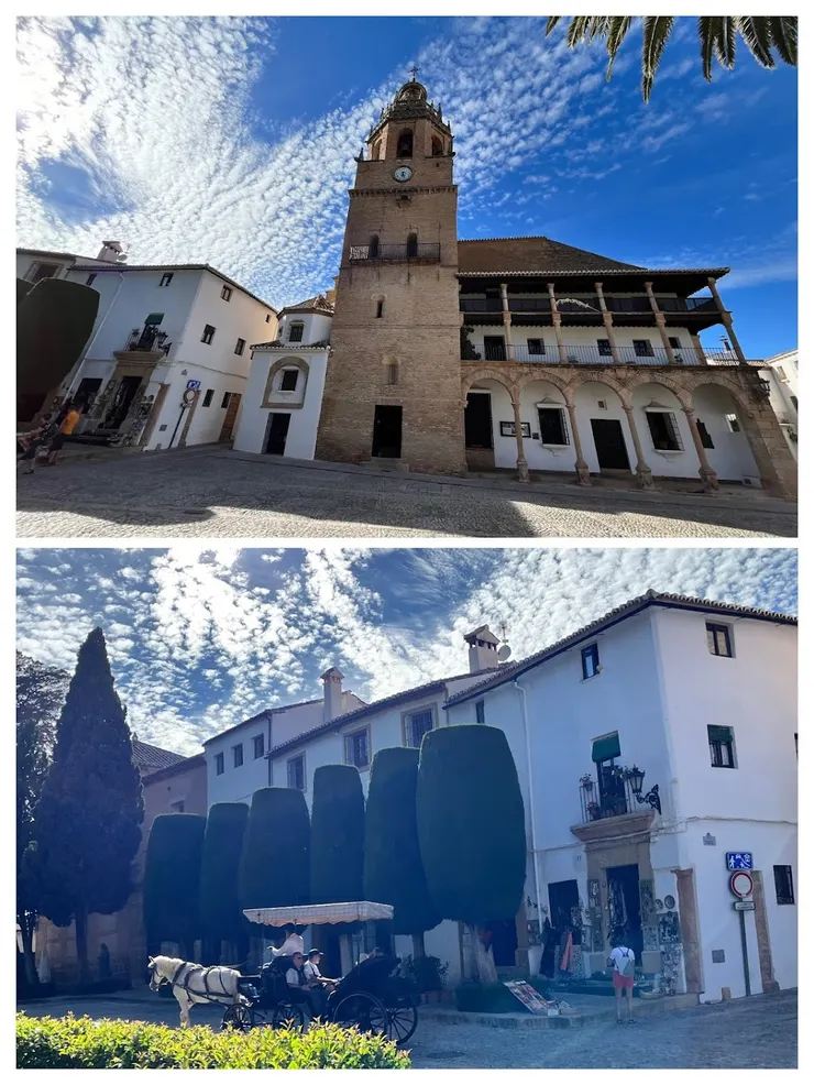 聖瑪麗亞市長教堂和可愛的行道樹