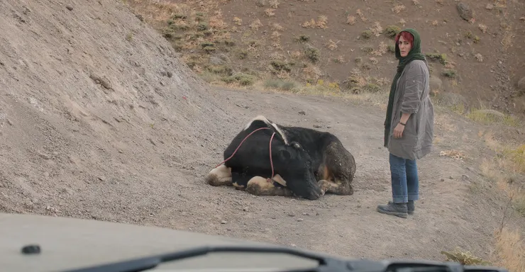 《三張面孔》劇照
