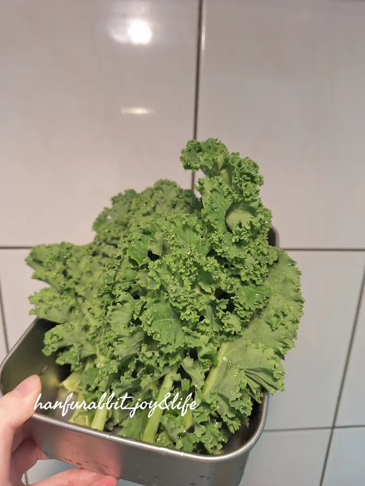 羽衣甘藍清洗後