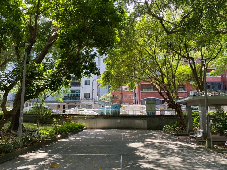 從景豐公園望向方才走來的萬盛溪河道。我就站在河道上！