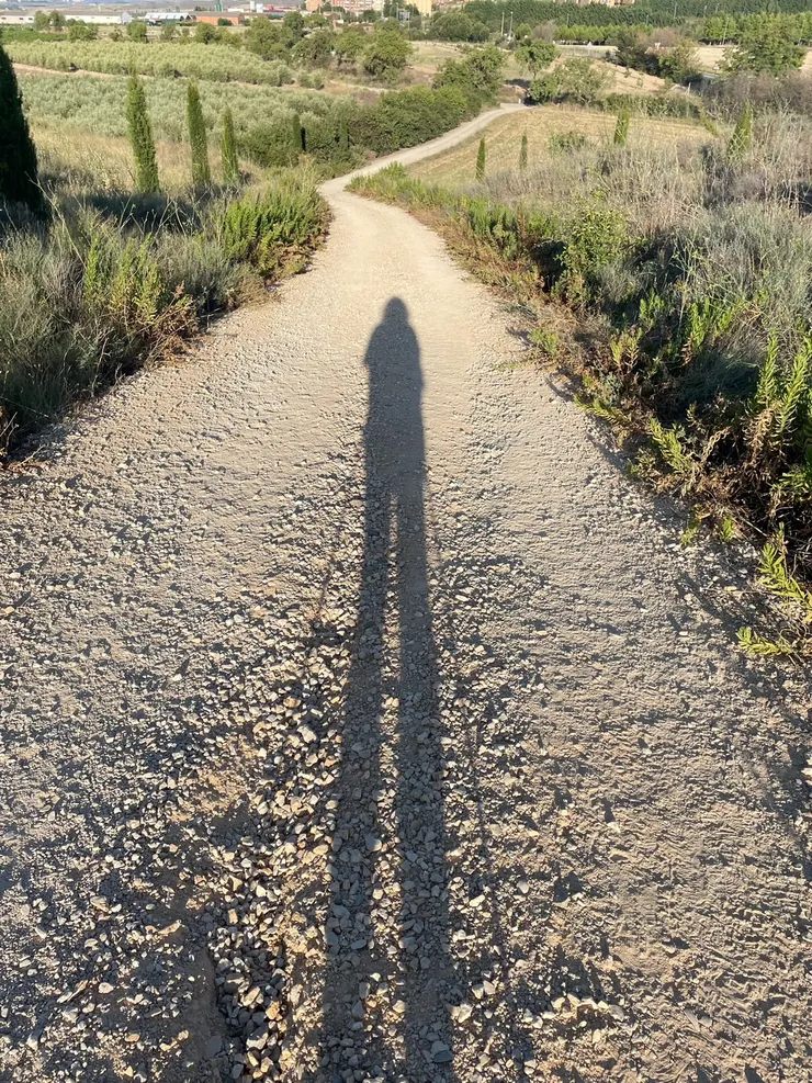 炙熱的陽光,拉的我的身影好長,讓我也可以當一回巨人。