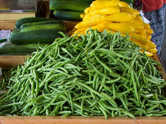 最新研究：四季豆不僅好吃，而且能夠減輕脂肪肝