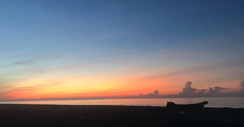 沈筱語的樹洞與妄想