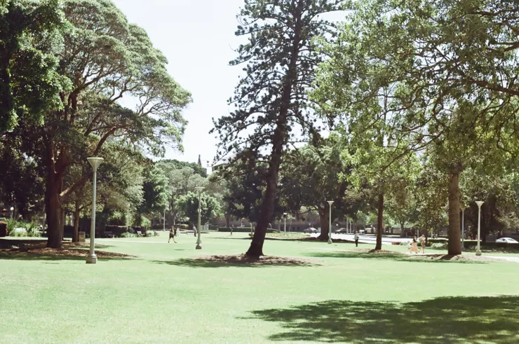喜歡到處都有綠地的繁忙城市