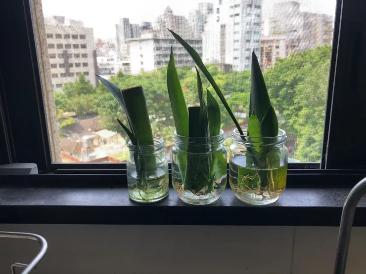 家裡的各角落有郭子的巧手痕跡