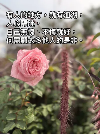 簡單一點，讓隔著肚 ~ 皮薄點 