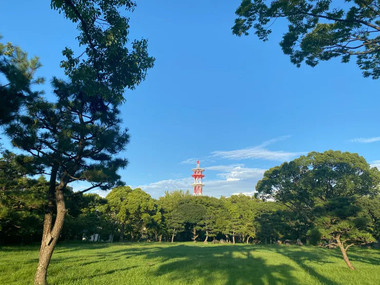 夕陽時分隨便拍隨便美