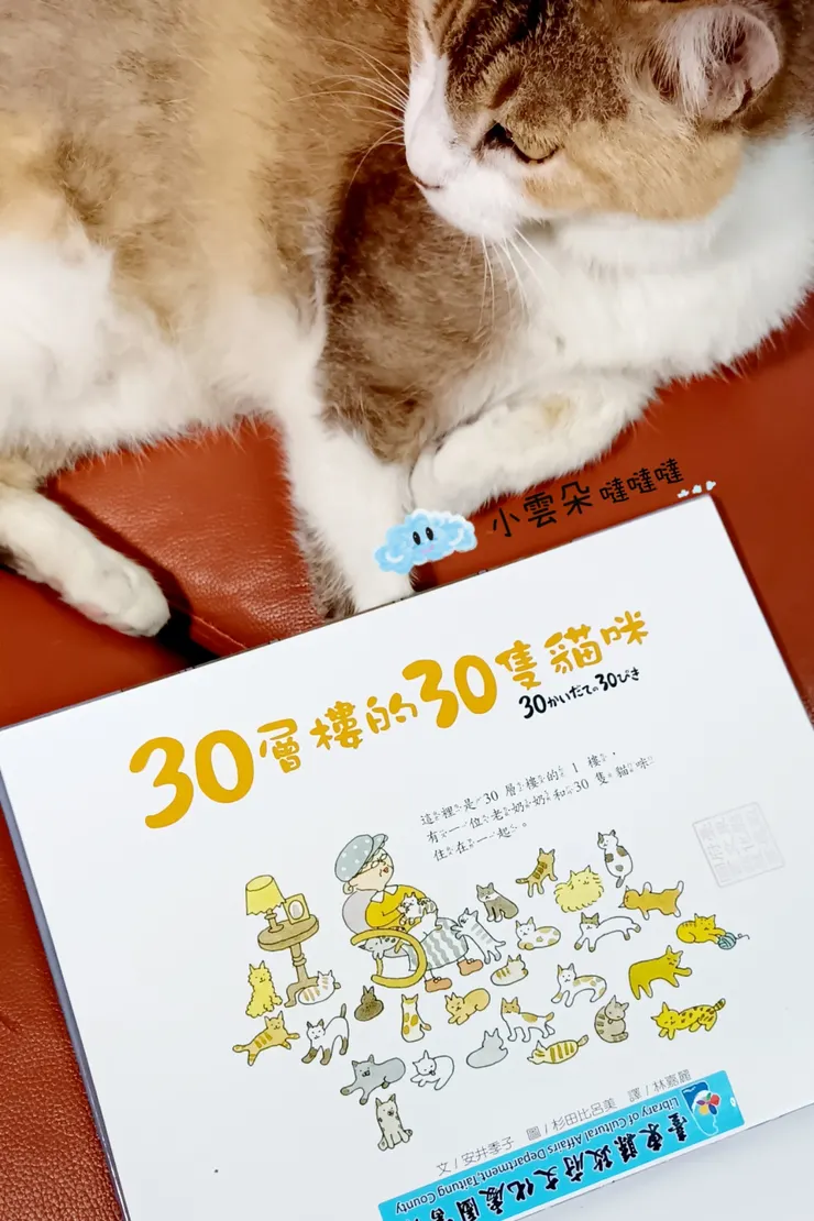 住在公寓一樓的老奶奶養了30隻貓咪