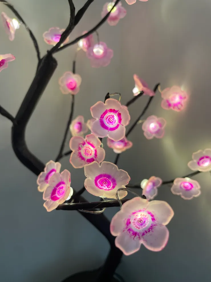 細部，雖然某些部分染料不太均勻，不過真實的花也不是完美的阿