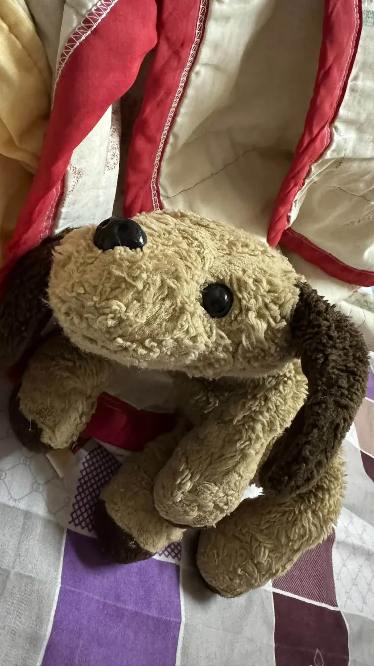 最愛的二十年的老狗狗>///<