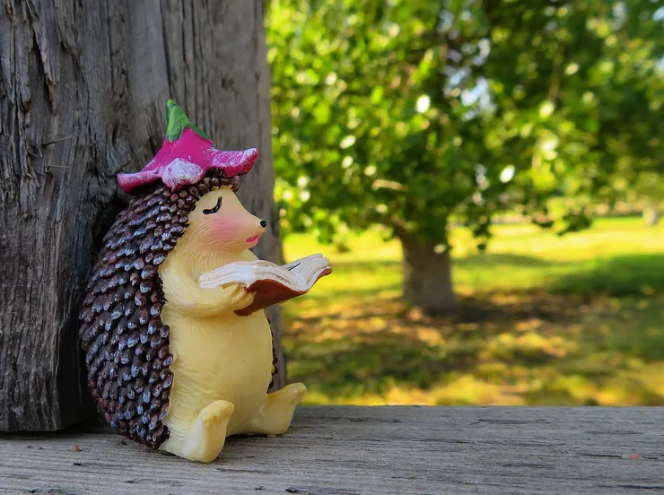 圖片來源：Pixabay