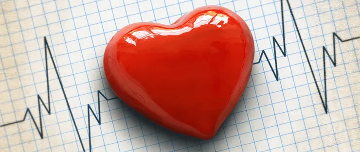 網路圖片僅供參考