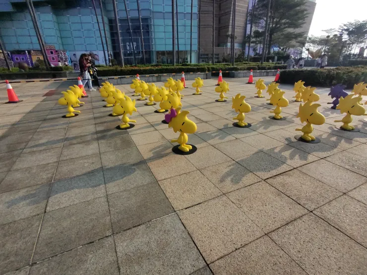 戴著蝴蝶結的可愛胡士托