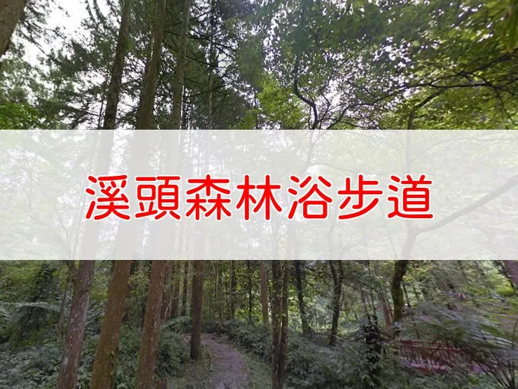 【南投】溪頭森林浴步道 | 全長里程：3公里 | 難易度：低至中