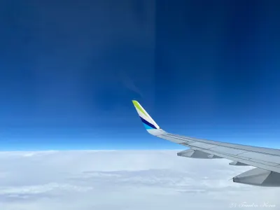 我回來了之明信片抽獎小活動後續