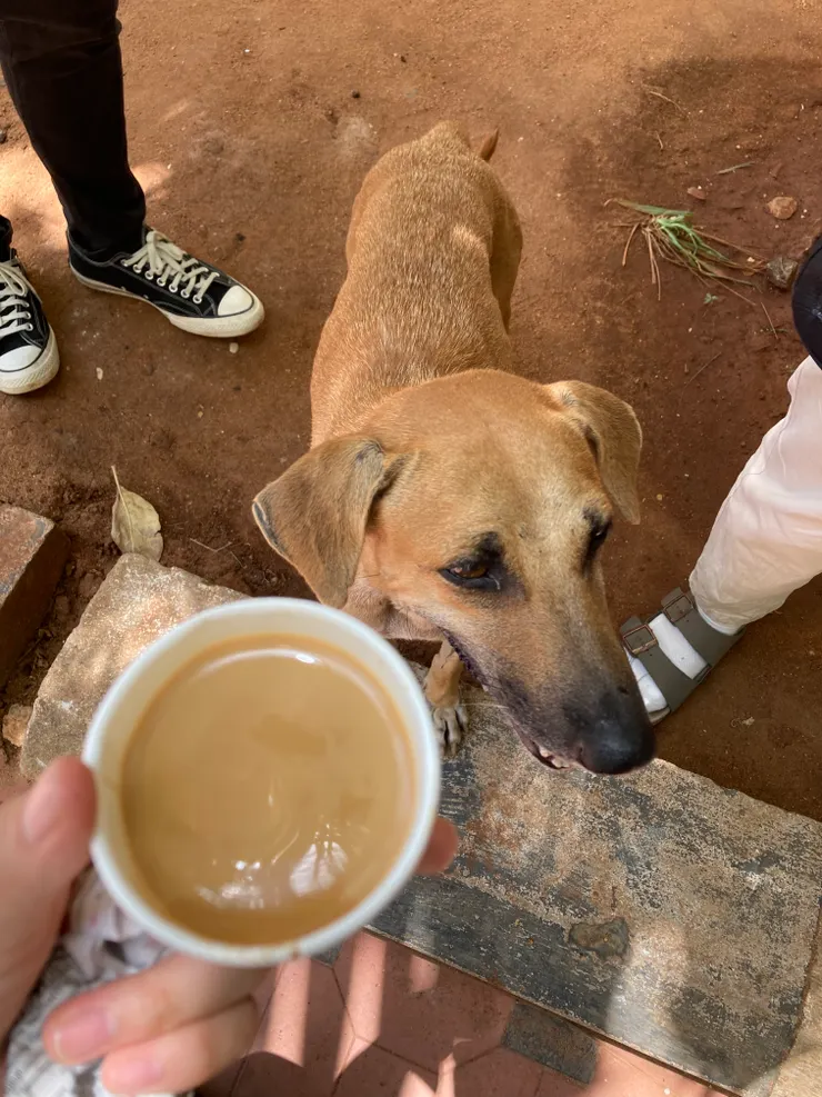 一杯10盧比的奶茶(圖二)