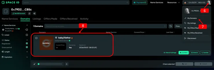 Gravity Alpha 主網 .g 域名註冊教學:免費一年+空投機會?