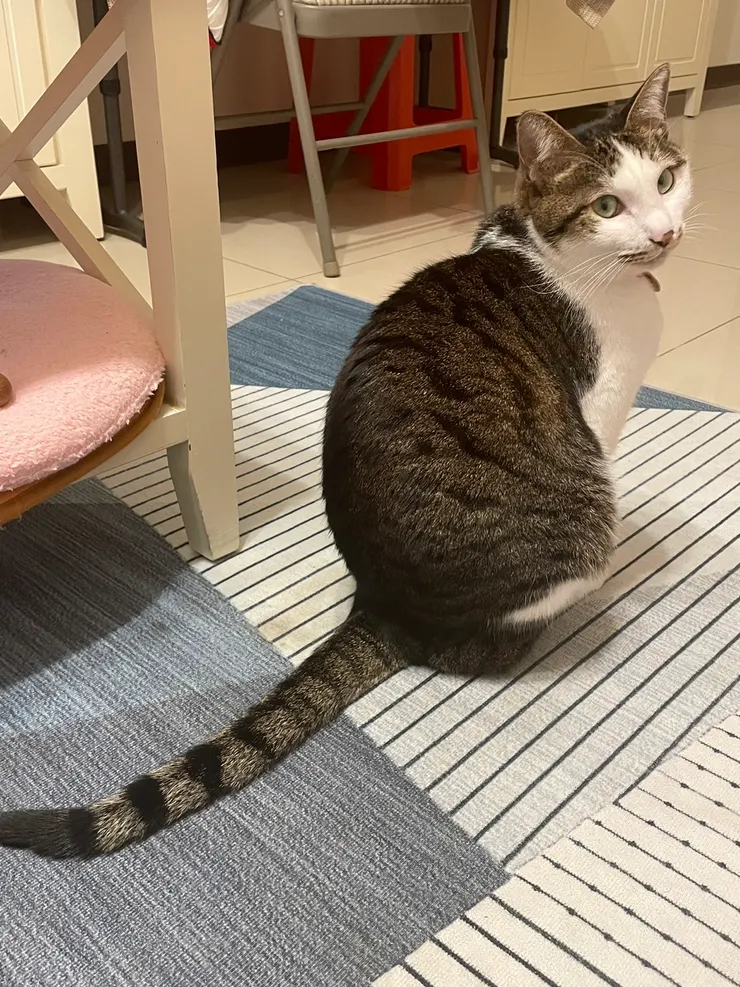 冰冰就是我的光明燈阿