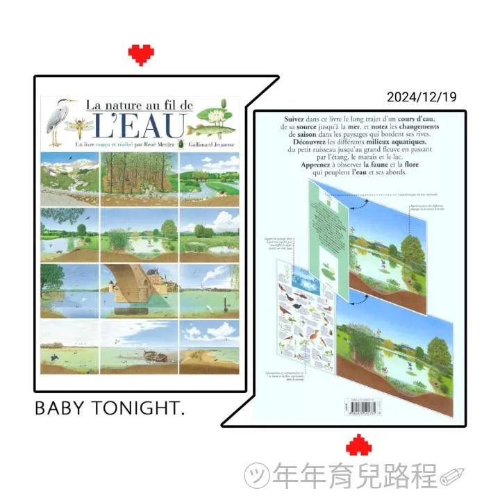 熱內．梅特萊爾(René Mettler)-大自然(一條河)(La nature au fil de l'eau)