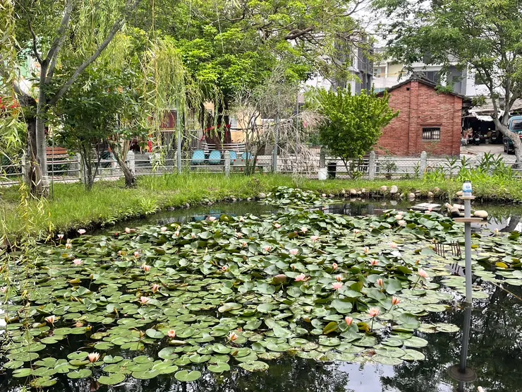 晨跑時隨手拍下