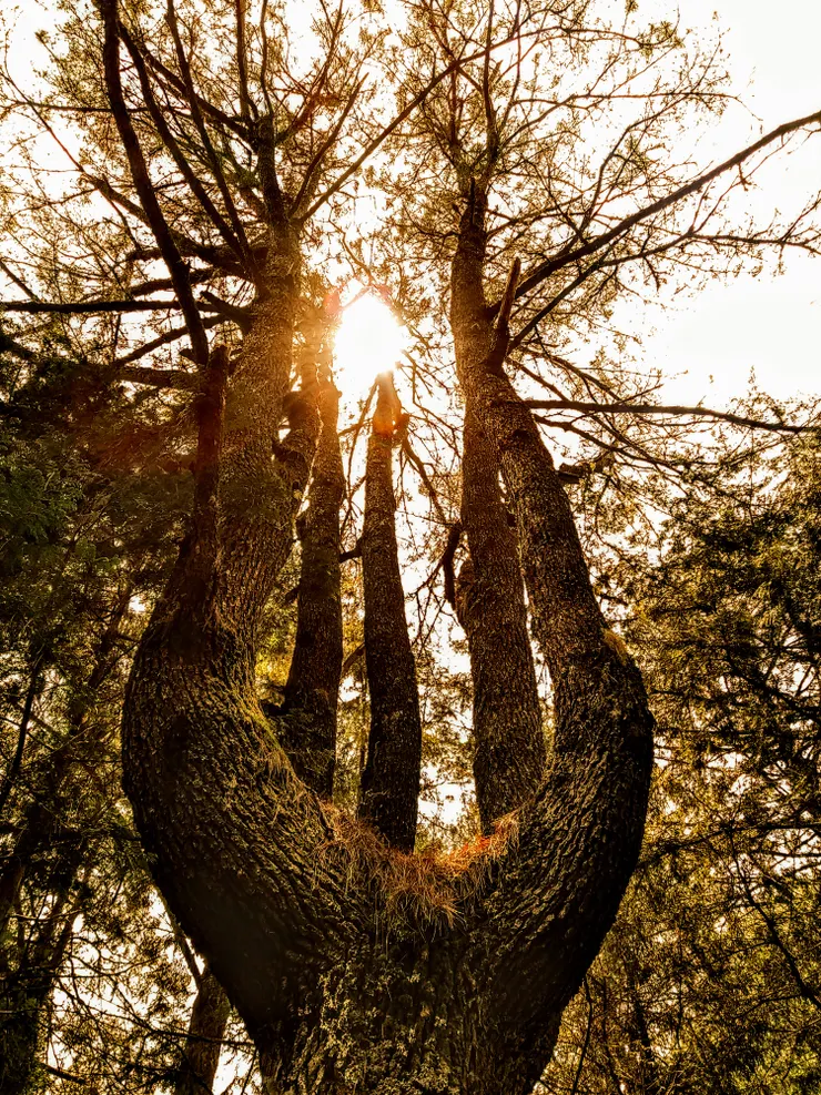 photographer by Hsun