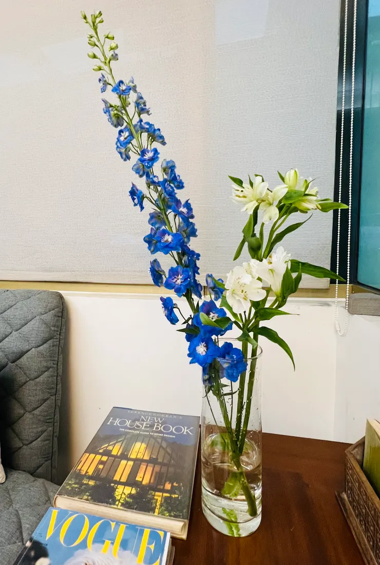 把家打掃乾淨,認真佈置一個喜歡的角落,專注身邊小事,對抗煩擾的世界