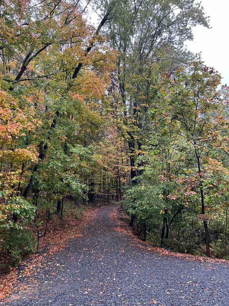 AUTO CAMP的無車秋色