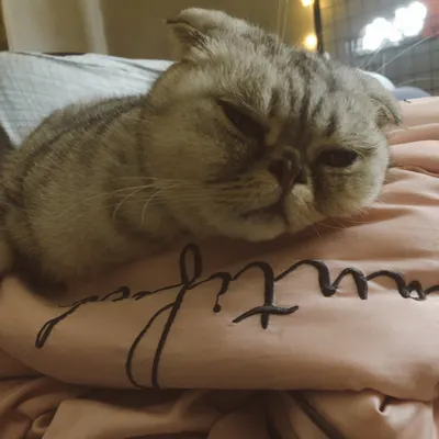 公主不接班的沙龍