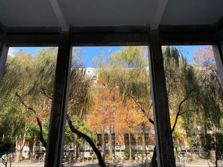 像木結構卡榫概念的車寄柱子