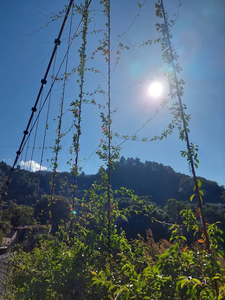 前幾天真的冷冷陰陰，那天天氣不知為何超級好！感謝老天安排