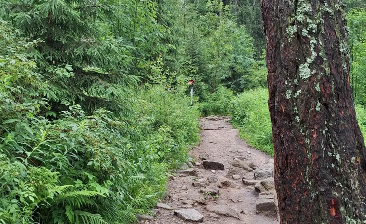 去程多半都是這種土石路
