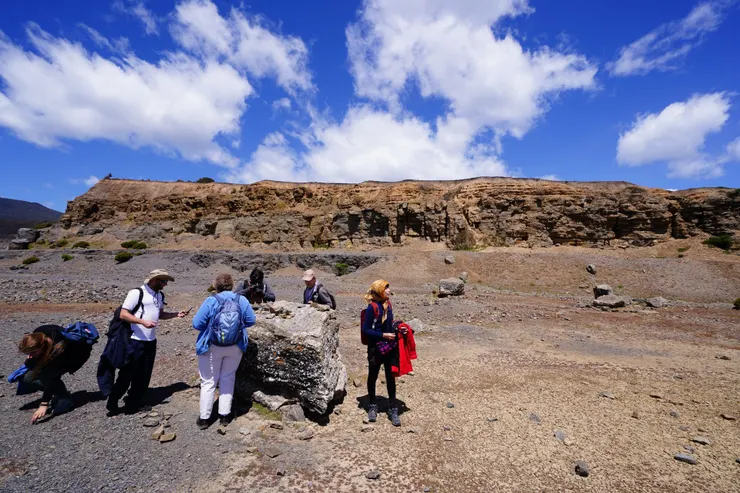 這一整個都是化石滿布