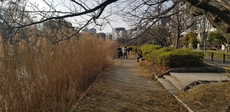 公園出口3離開後轉左便看到護城河