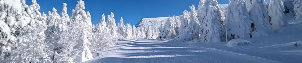 姆姆雞抖的沙龍