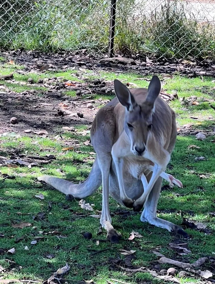 快要進入睡眠模式的臉