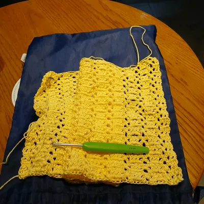 進度紀錄-鉤針圓領套頭長袖上衣