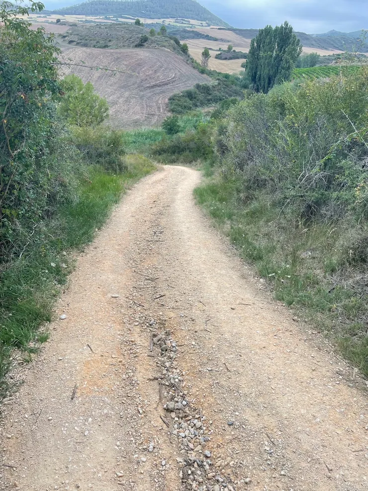 又是折磨人的下坡路 (照片拍得好像看不出陡度)