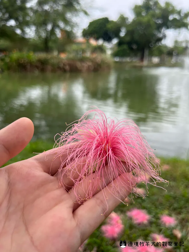 為工作時間留白，重拾屬於你的創造力