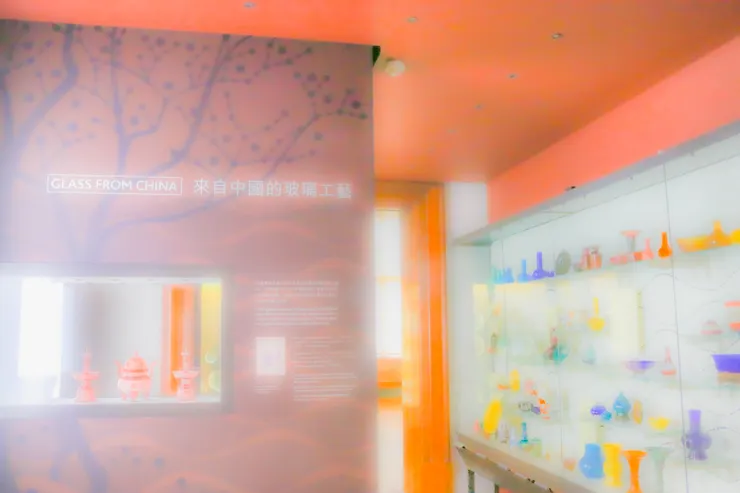 布里斯托大學內部博物館的展示場一角