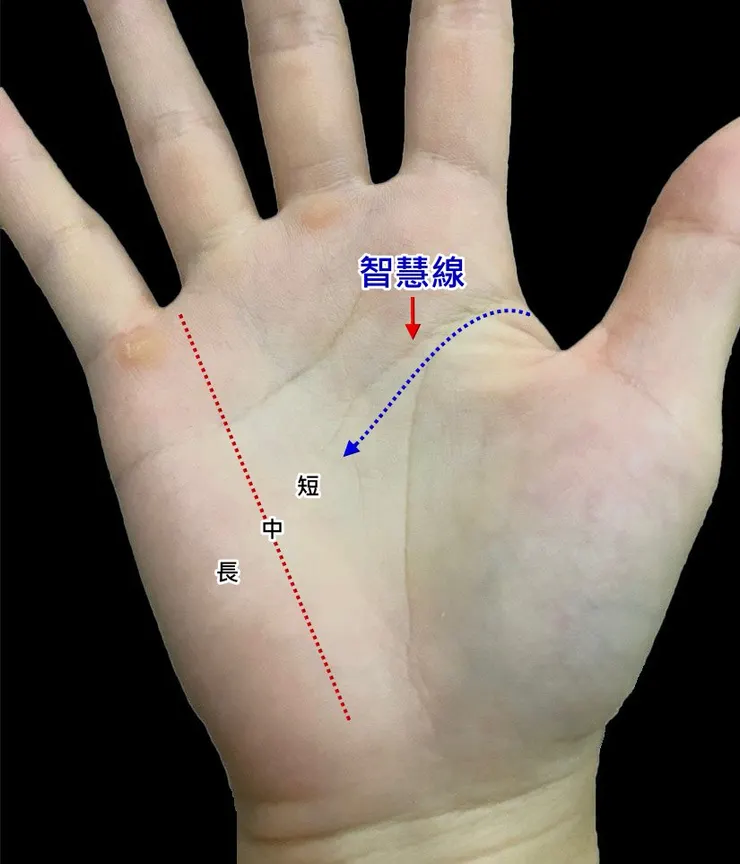 智慧線的長度標準