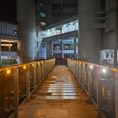 毛渚昔的學思天地