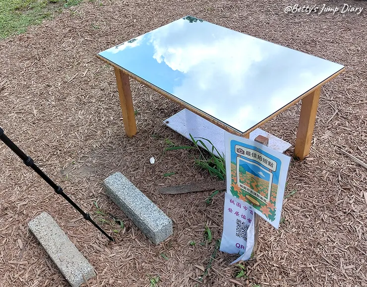 ▲2025花現台七「桃園繡球金針農遊趣」/ 圖片來源：Betty's Jump Diary